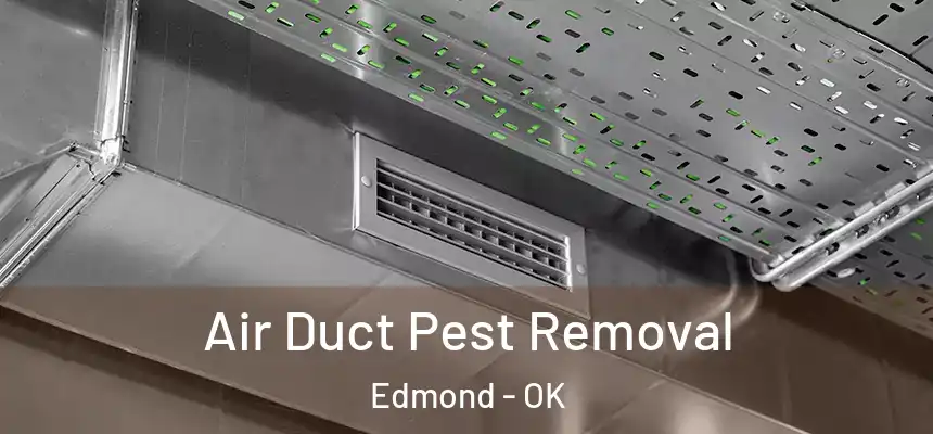  Air Duct Pest Removal Edmond - OK