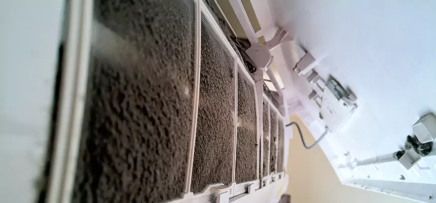 Preventive Air Duct Bacteria Removal in Edmond