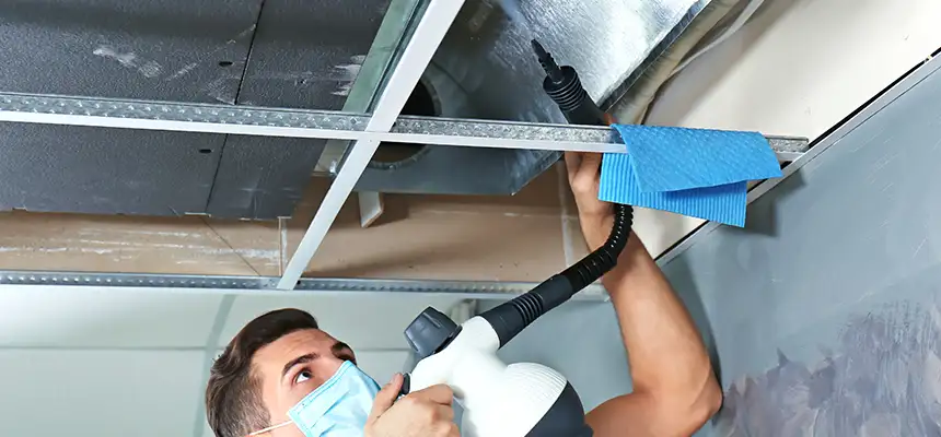Our Air Duct Rodent Removal Services in Edmond, OK