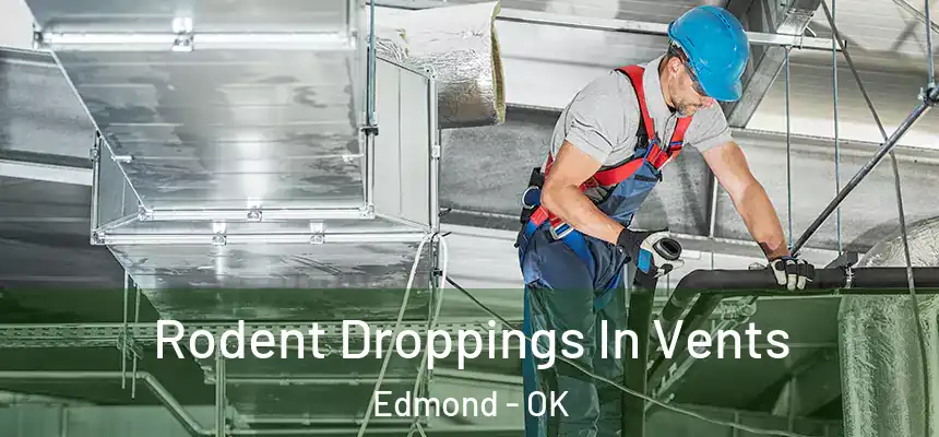 Rodent Droppings In Vents Edmond - OK
