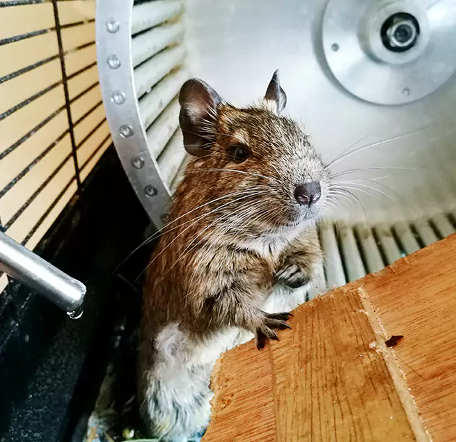 Why Homeowners & Businesses Trust Us Edmond, OK?